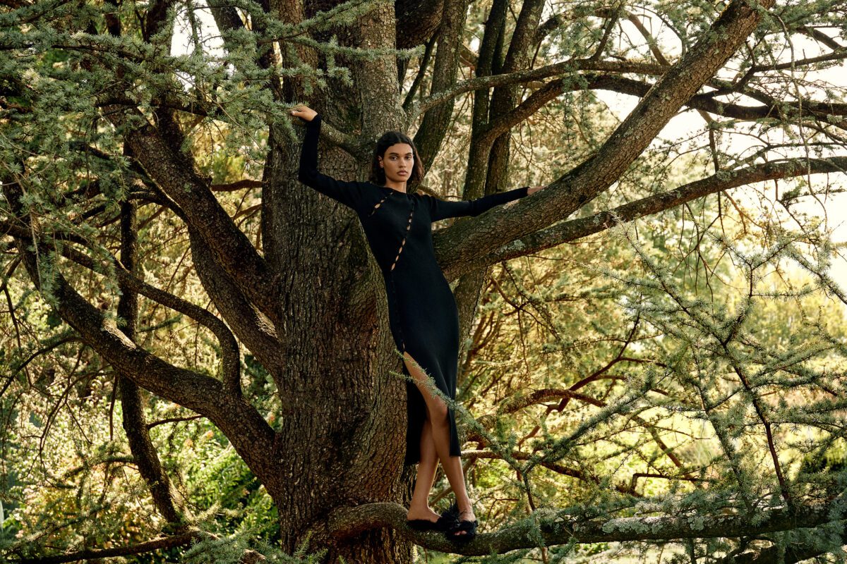 Model in a black long-sleeve midi dress with gold trim standing on the branches of a large cedar tree, for Altuzarra.